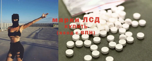 стафф Новокубанск