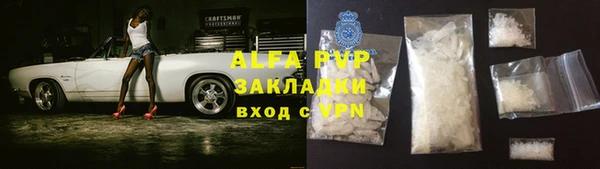 стафф Новокубанск