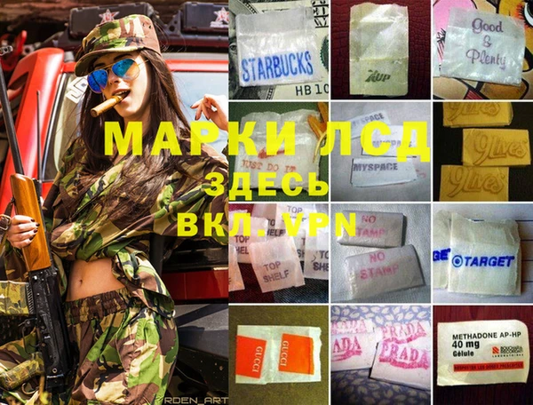 ALPHA PVP Новодвинск