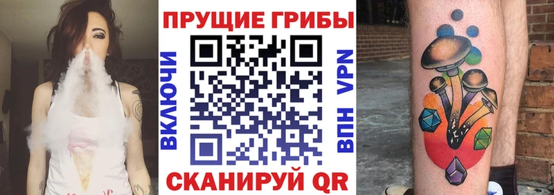 Галлюциногенные грибы мицелий  дарк нет Telegram  Лодейное Поле 